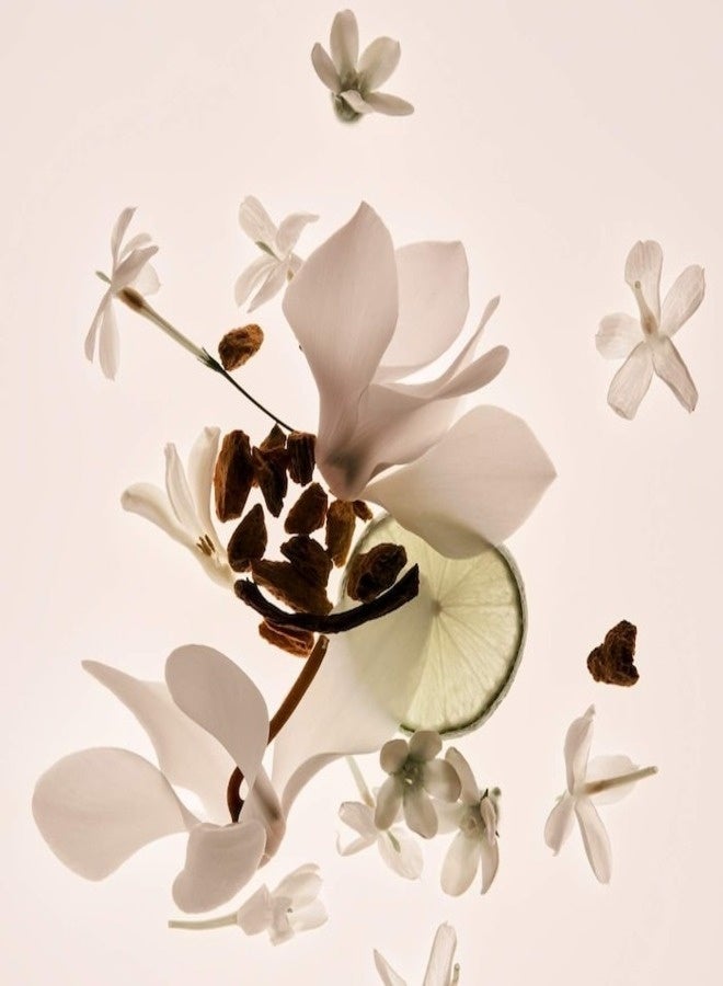 PHLUR Missing Person Eau de Parfum Travel Size – Skin-Like Musk Scent, 10 ml - Image 4