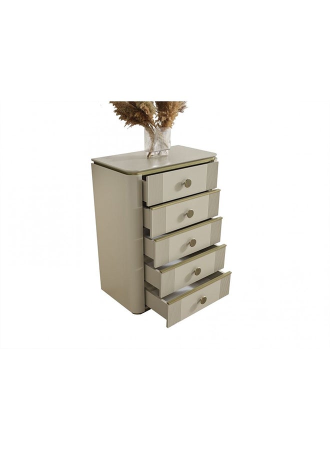 DANUBE HOME Berlin Chest Of Drawer Multifunctional Cabinet Storage Organiser Space Saving Drawer Chest Modern Design Furnitures for Bedroom Powder Beige/Gold  - Image 2