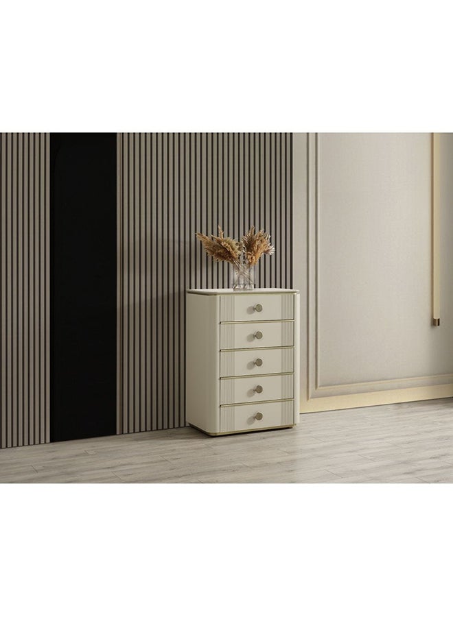 DANUBE HOME Berlin Chest Of Drawer Multifunctional Cabinet Storage Organiser Space Saving Drawer Chest Modern Design Furnitures for Bedroom Powder Beige/Gold  - Image 1