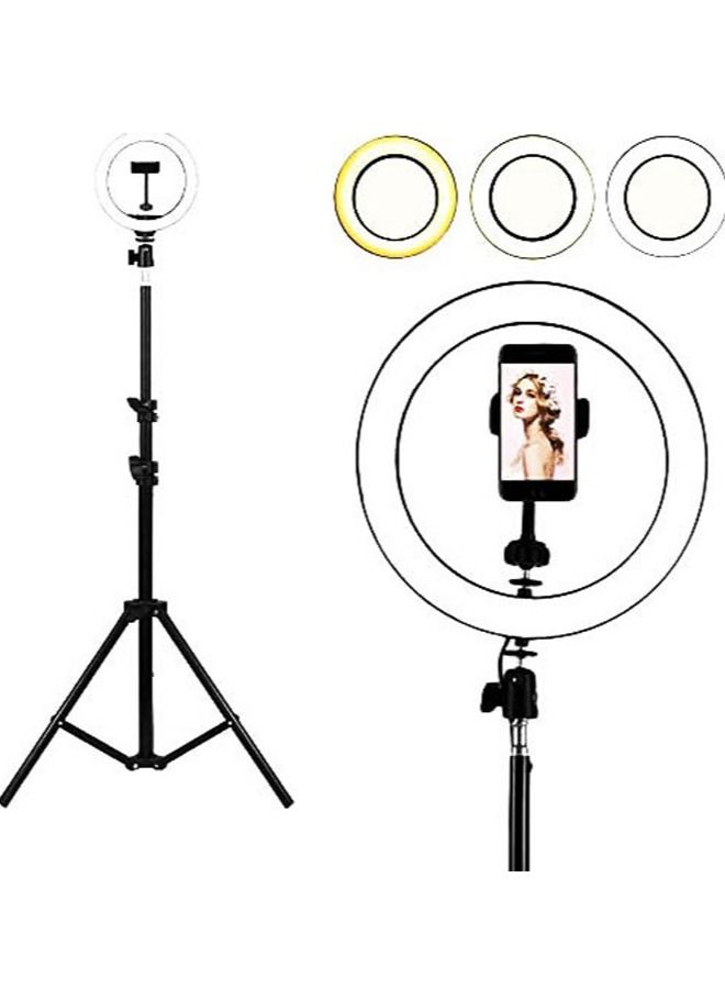 10 Selfie Ring Light with 210CM Tripod Stand Including Phone Holder Ring Light for iPhone Android Light Stand for Live Stream Makeup YouTube Video Photography - Image 2
