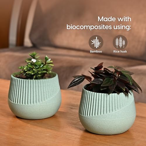 Eha Earth Friendly Oreo 4 inch Small pots for Indoor Plants | Plant Pot Made with Bamboo Fibers | Table Top Planters for Home Decor and Office, Flower Pot for Living Room | 1 Unit, Celeste - Image 3