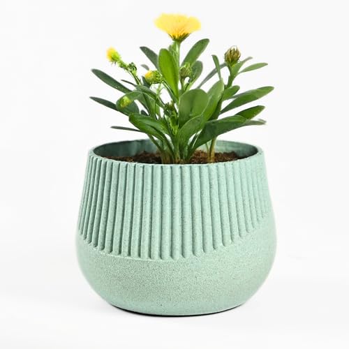 Eha Earth Friendly Oreo 4 inch Small pots for Indoor Plants | Plant Pot Made with Bamboo Fibers | Table Top Planters for Home Decor and Office, Flower Pot for Living Room | 1 Unit, Celeste - Image 1
