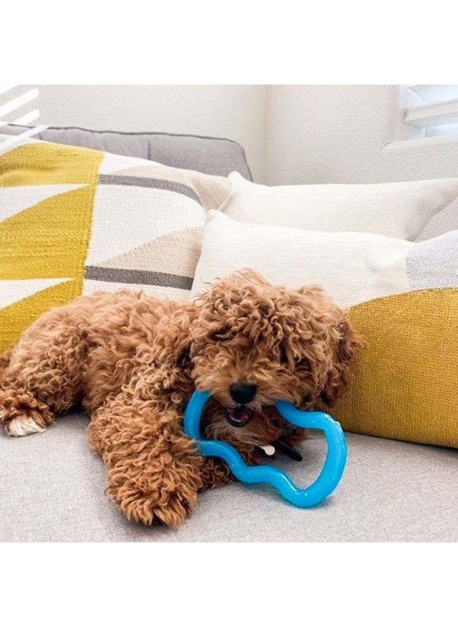 Nylabone Teethe 'N' Tug Puppy Chew Toy For Teething  Puppy Supplies  Blue, XSmall/Petite (1 Count)  - Image 2