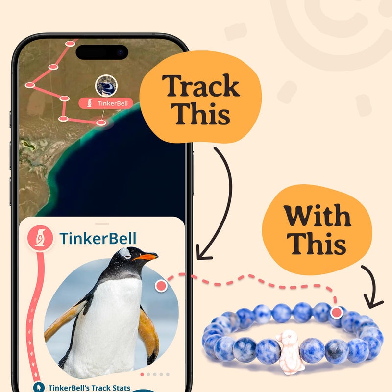 Fahlo Penguin Tracking Bracelet â€“ Track a Real Penguinâ€™s Journey â€“ Supports Wildlife Conservation â€“ Elastic, One Size Fits Most â€“ on Interactive Mobile App Map â€“ Unisex Conservation Gift (Patagonia Pink) - Image 4