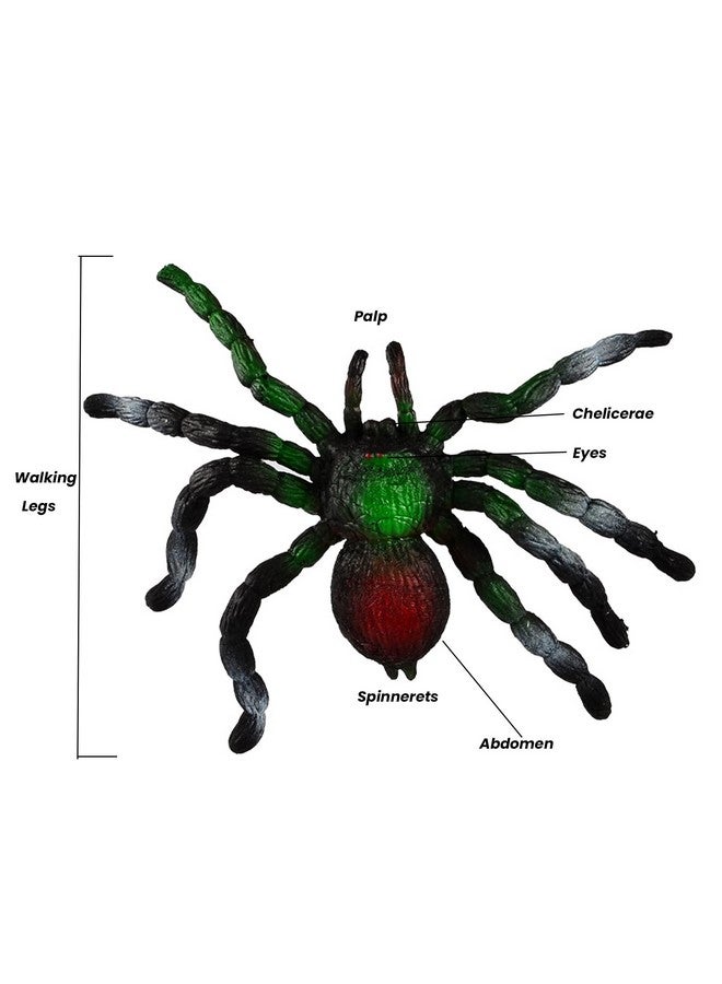 BOHS Jiggly Spider Mom And Spiderlings Stretch & Squeeze 4Piece Rubber Realistic Big Soft Halloween Squishy Toy Prank Bugs - Image 3