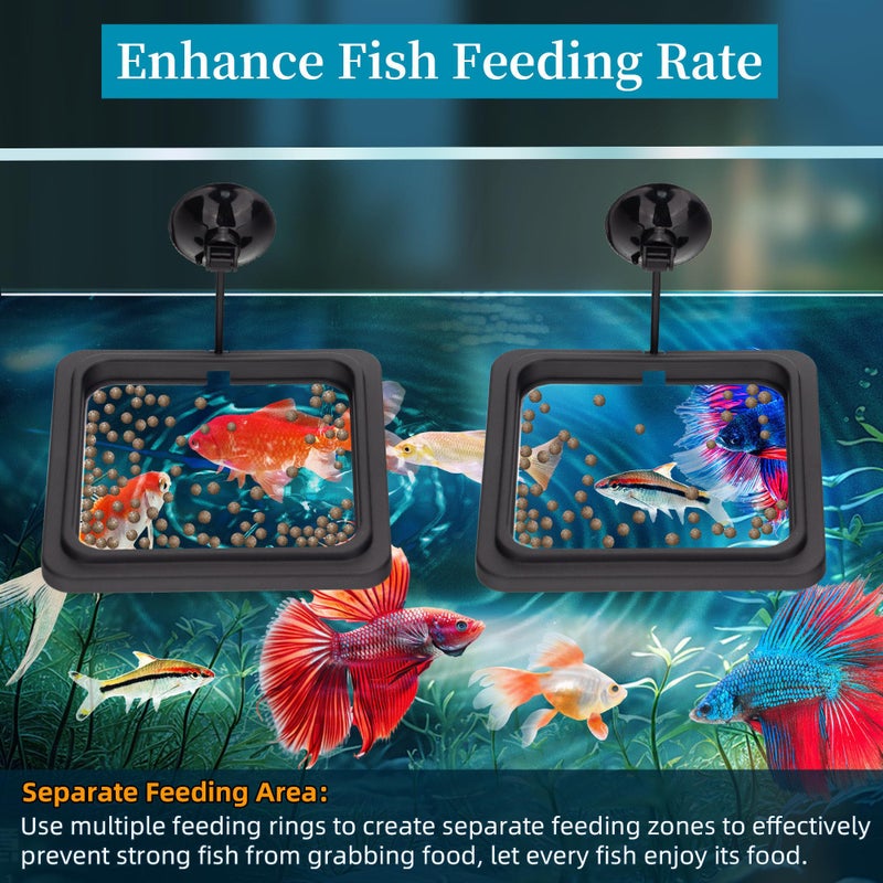 DaToo Fish Feeding Ring Aquarium Square Floating Food Feeder Circle with Strong Suction Cup Fish Tank Feeding Ring for Betta Goldfish Guppy - Image 4