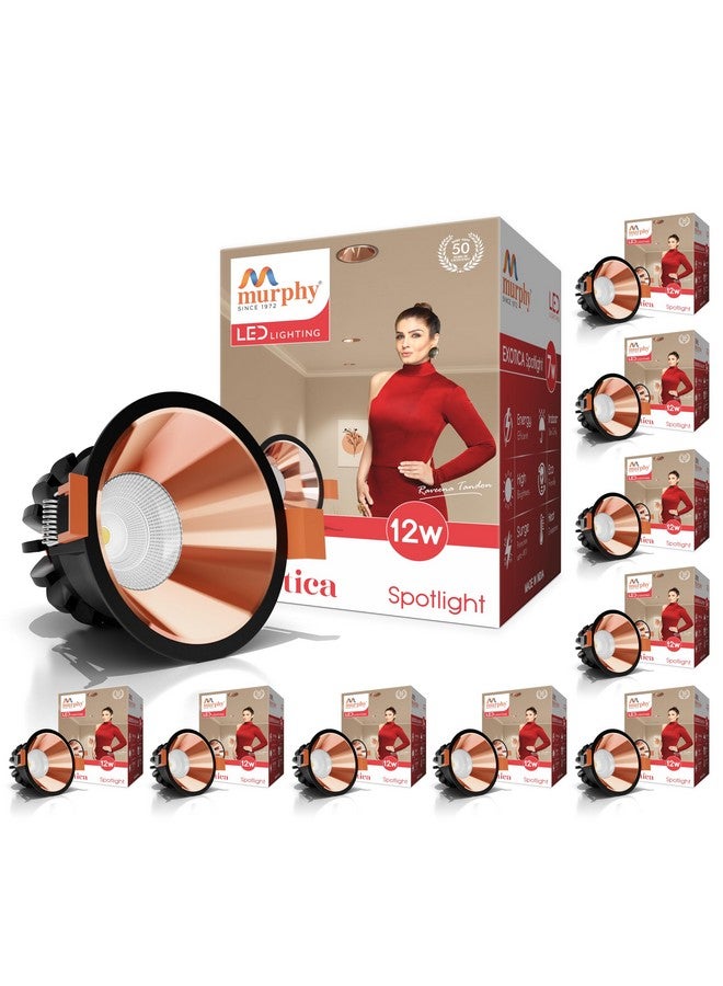 Murphy 12W Black Body Rose Gold Finish COB Spot Down Light : Warm White, Pack of 10 - Image 1