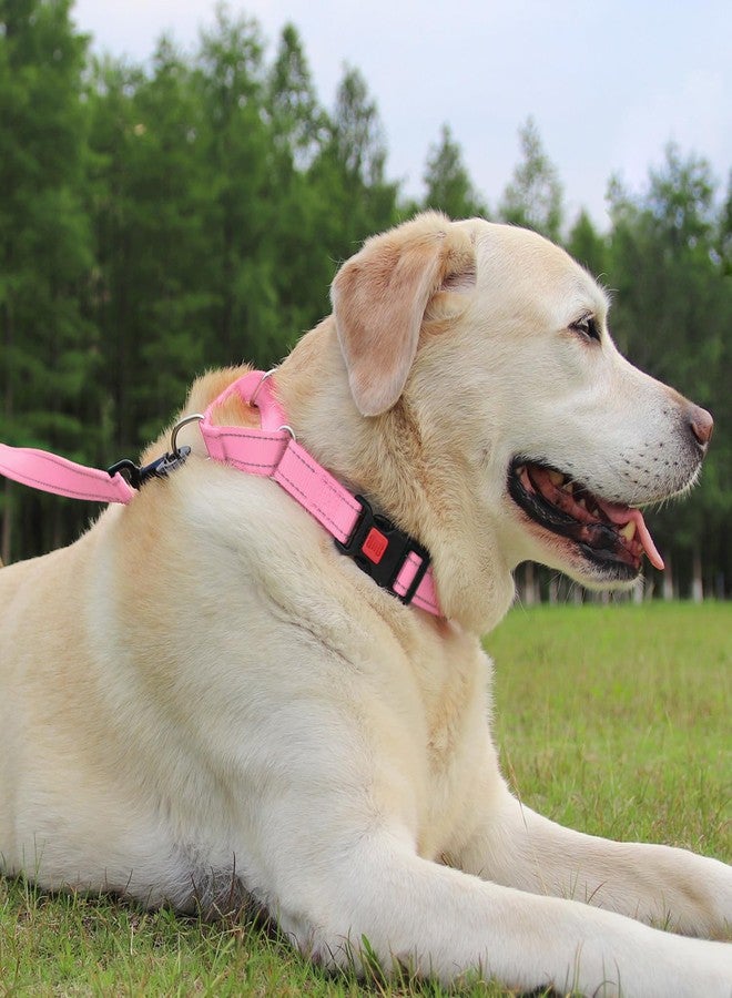 Joytale Martingale Collar for Dogs, Reflective Heavy Duty for Safety, Quick Release Buckle, Adjustable Nylon Collars for Small Dogs Walking Training, Pink, S - Image 5