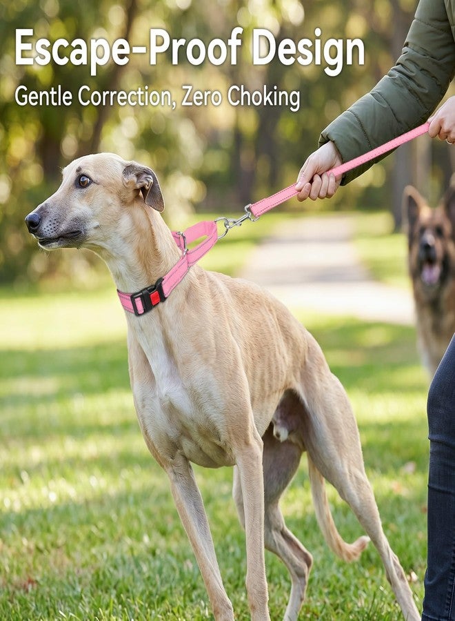 Joytale Martingale Collar for Dogs, Reflective Heavy Duty for Safety, Quick Release Buckle, Adjustable Nylon Collars for Small Dogs Walking Training, Pink, S - Image 3