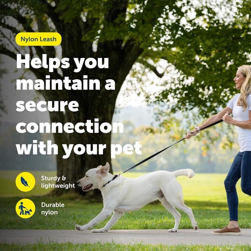 PetSafe Leash, 1" x 6', Large, Apple Green - LSH-1-X-6-APL - Image 2