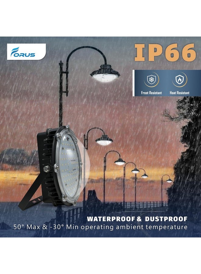 Forus 50W LED Well Glass Light - Cool White | High Bay LED Light for Warehouse, Factory, Shed & Industrial Use | Hanging Commercial Light with 5 Years Warranty | Energy-Efficient Shop Light - 1PC - Image 4