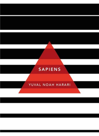 Sapiens - pzsku/Z34B02512D6CD737DE969Z/45/_/1711375110/c348b32d-d081-474d-9788-ea458323b56c
