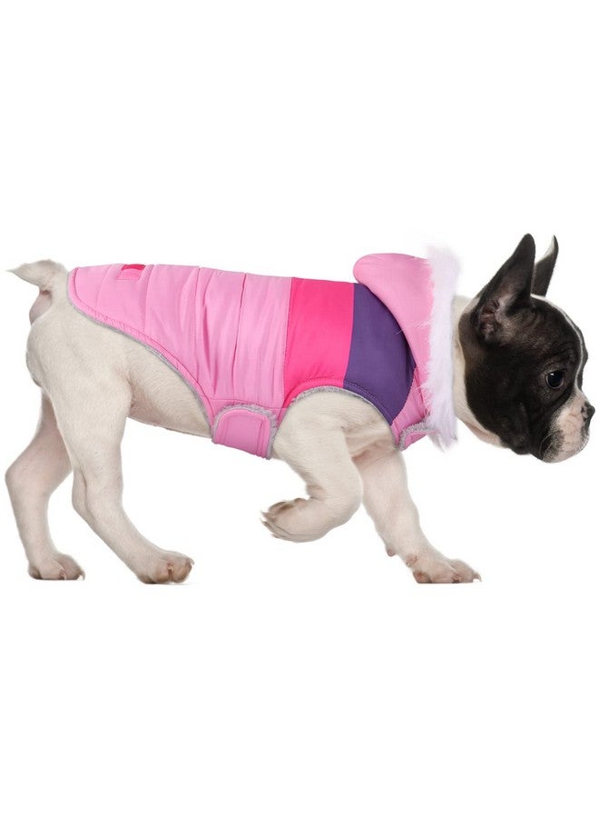 إتش دي إي سترة منفوخة للكلاب مبطنة بالصوف، معطف باركا شتوي دافئ للكلاب مع فتحة حزام، مخططة باللون الوردي - مقاس M - Image 1