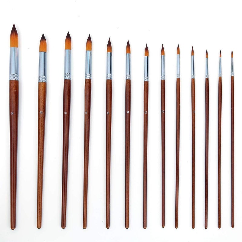 SCHMIDT 13 Pcs Long Handle Round Shape Artist Acrylic Painting Brushes Set - Image 1