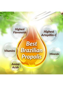 Afc Japan Brazilian Green Propolis Extract – Highest Artepilin C (>2.8% or >28mg/ml) & Flavonoids (>17mg/ml), Premium Quality, for Immune Booster, Tincture, Concentrated Liquid  - Image 3