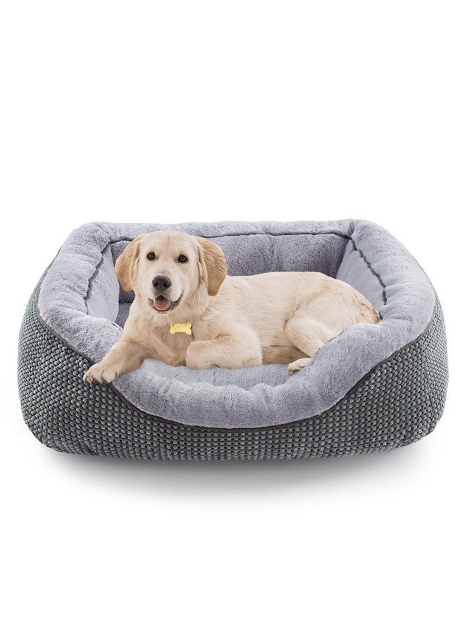 INVENHO Medium Dog Beds For Medium Dogs Washable, Rectangle Dog Bed Medium Size Dog, Orthopedic Dog Bed, Warming Soft Calming Sleeping Puppy Bed Durable Pet Bed With AntiSlip Bottom M(30"X24"X9") - Image 1