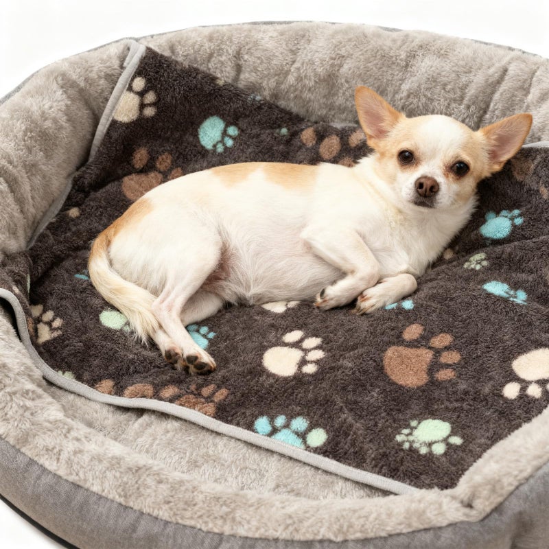 Retainbre 12 Pcs Small Dog Blanket Fleece Puppy Blankets Washable Pet Blankets for Cats Soft Flannel Paw Printed Throw for Guinea Pig Indoor Kittens Doggie (23 X 16 Inch,Dark Gray) - Image 2