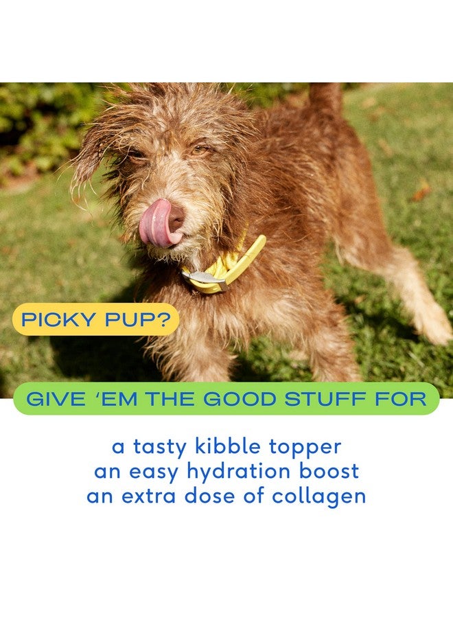 Native Pet Bone Broth for Dogs and Cats - Dog Bone Broth Powder for Dog Food Topper for Picky Eaters - Cat and Dog Broth - Dog Gravy Topper for Dry Food - Beef Broth for Dogs and Cats - 4.75 oz - Image 2