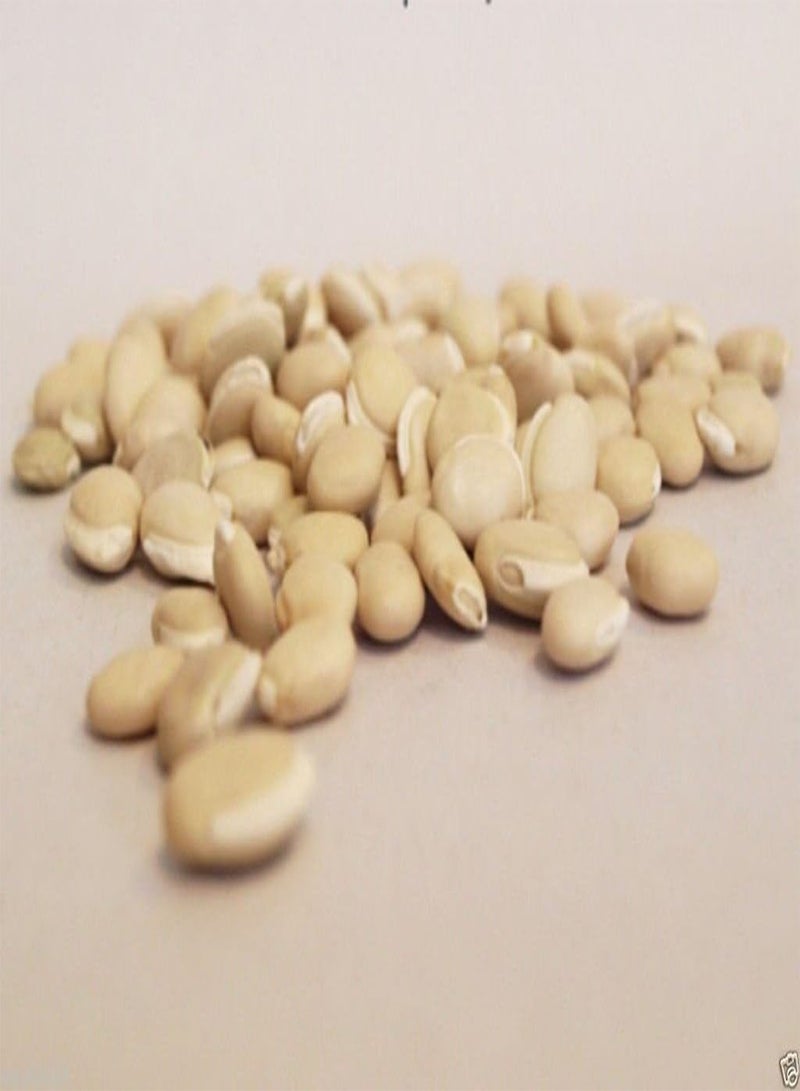 GGOOT Hyacinth  Vine ~100 Seeds White,great for Trellis, -Beautiful - Image 2