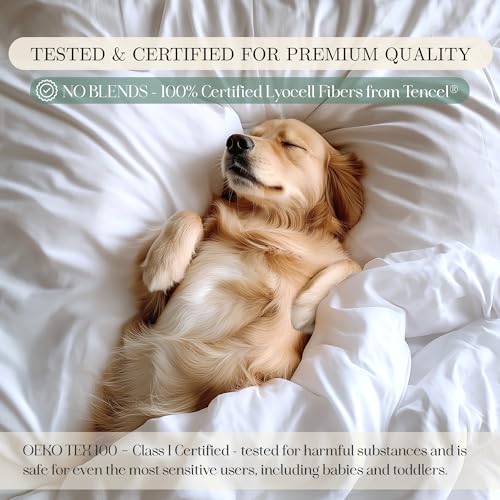 CASILVA Eucalyptus Sheets - Infused with Silver for Anti-Odor, Softer Than Silk Fibers, More Cooling Than Cotton - Perfect for Hot Sleepers & Sensitive Skin - 100% Tencel Lyocell - Queen Sheet Set - Image 5