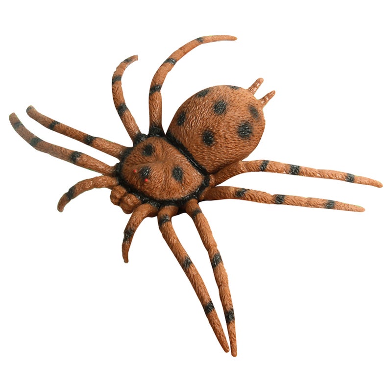 Spider Model Lifelike Exquisite Simulated Large Spider Toy for Teaching Entertainment Brown - Image 1