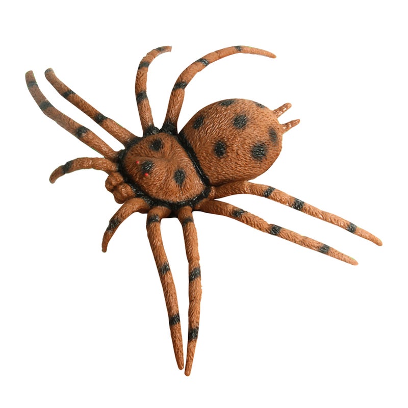 Spider Model Lifelike Exquisite Simulated Large Spider Toy for Teaching Entertainment Brown - Image 2