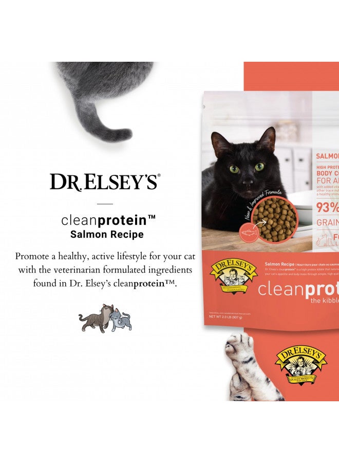 Dr. Elsey'S Cleanprotein Salmon Formula Dry Cat Food, 2 Pound (Pack of 1) - Image 1