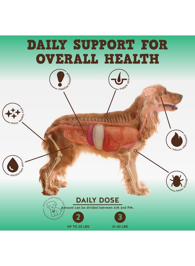 Jack&Pup Dog Allergy Chews  Bark Buddies AllerCare Soft Chew Bites Itch Relief For Dogs & Allergy Support For Dogs  Dog Immune Supplement, Dog Skin Allergies Treatment And Anti Itch For Dogs 60Ct - Image 2