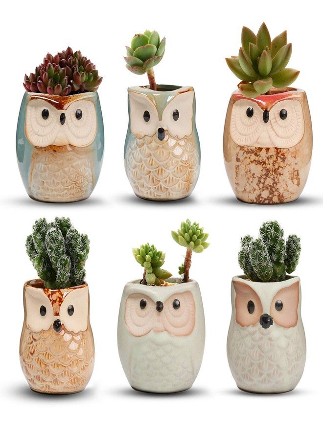 T4U 2.5 Inch Owl Ceramic Succulent Planter Pots with Drainage Hole Set of 6, Flowing Glaze Porcelain Handicraft Plant Holder Container Gift for Mom Sister Aunt Best for Home Office Garden Decoration - Image 1