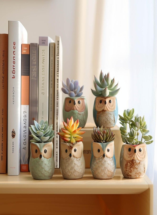 T4U 2.5 Inch Owl Ceramic Succulent Planter Pots with Drainage Hole Set of 6, Flowing Glaze Porcelain Handicraft Plant Holder Container Gift for Mom Sister Aunt Best for Home Office Garden Decoration - Image 4