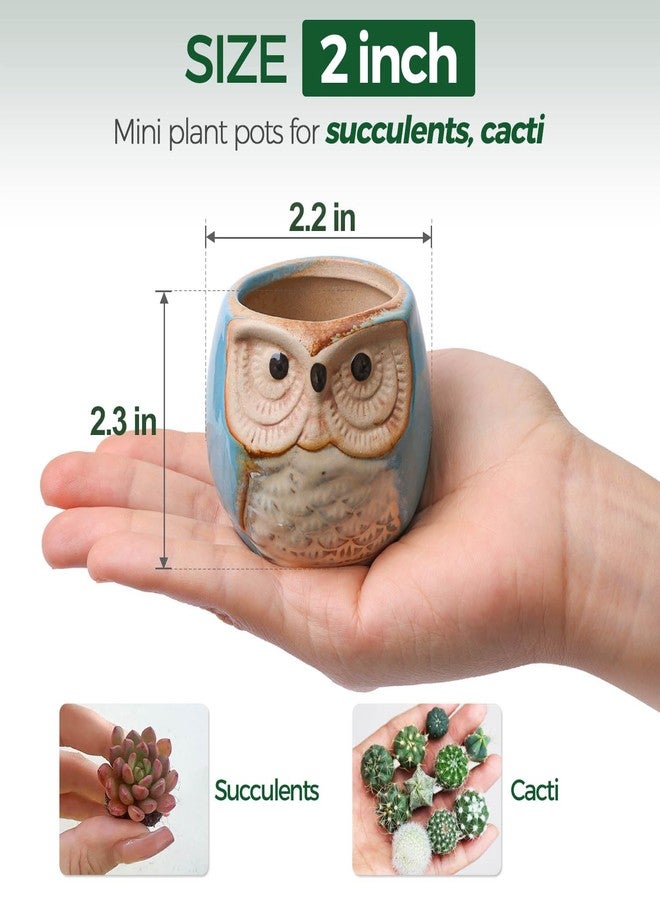 T4U 2.5 Inch Owl Ceramic Succulent Planter Pots with Drainage Hole Set of 6, Flowing Glaze Porcelain Handicraft Plant Holder Container Gift for Mom Sister Aunt Best for Home Office Garden Decoration - Image 2