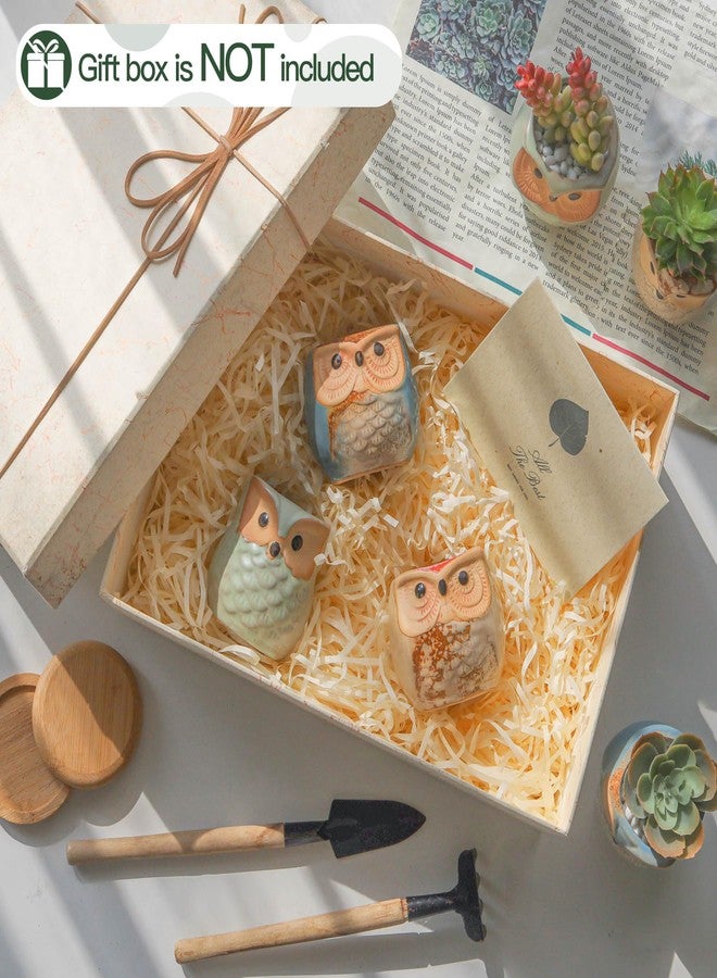 T4U 2.5 Inch Owl Ceramic Succulent Planter Pots with Drainage Hole Set of 6, Flowing Glaze Porcelain Handicraft Plant Holder Container Gift for Mom Sister Aunt Best for Home Office Garden Decoration - Image 5