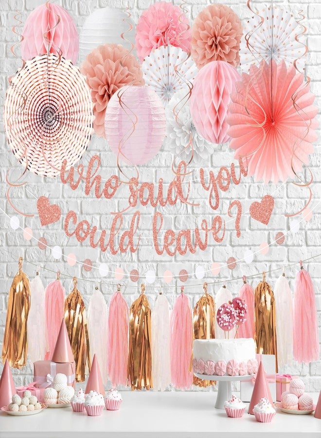 Roetyce Farewell Party Decorations Women, Pink Glitter Who Said You Could Leave Banner, Rose Gold Going Away Leaving Goodbye Party Supplies for Coworker Friends, Retirement Photo Background Decor - Image 5