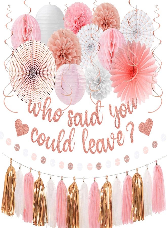 Roetyce Farewell Party Decorations Women, Pink Glitter Who Said You Could Leave Banner, Rose Gold Going Away Leaving Goodbye Party Supplies for Coworker Friends, Retirement Photo Background Decor - Image 1