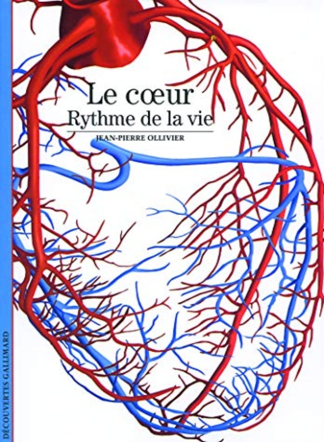 Le coeur : Rythme de la vie