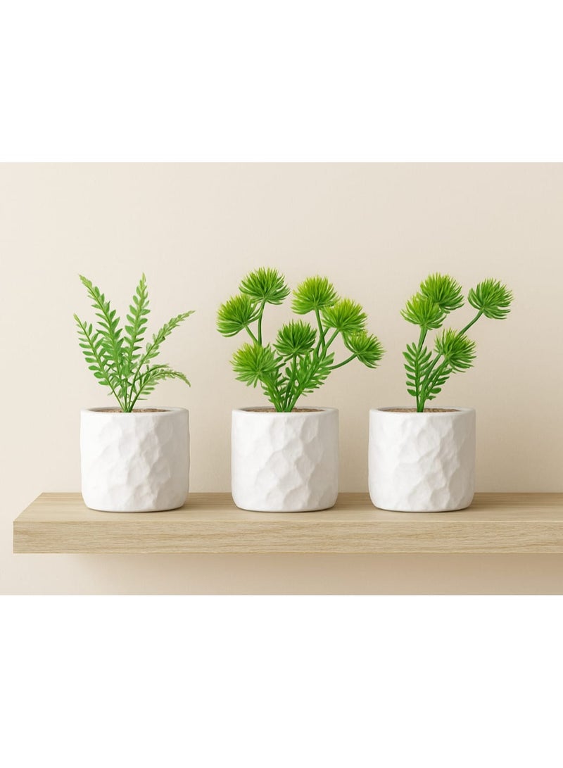 Set Of 3 Mini Decorative Vases With Artificial Aloe, Fern & Succulents – 15 Cm
