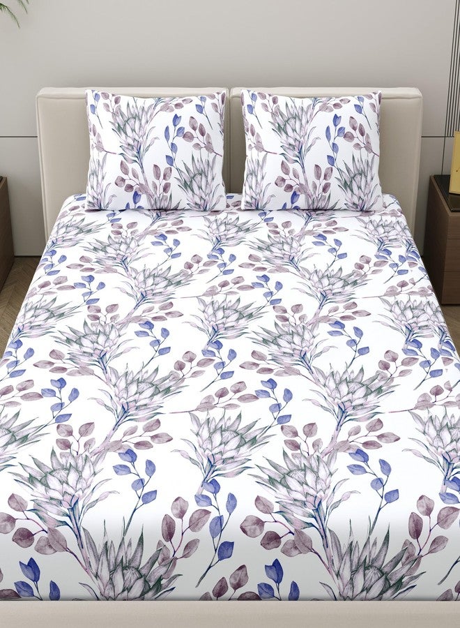 Home Ecstasy 100% Cotton Value King Bedsheet with 2 Pillow Covers - (Size 87 x 108 inches, 140 TC, Colour - Purple: Lapis Purple) - Image 2