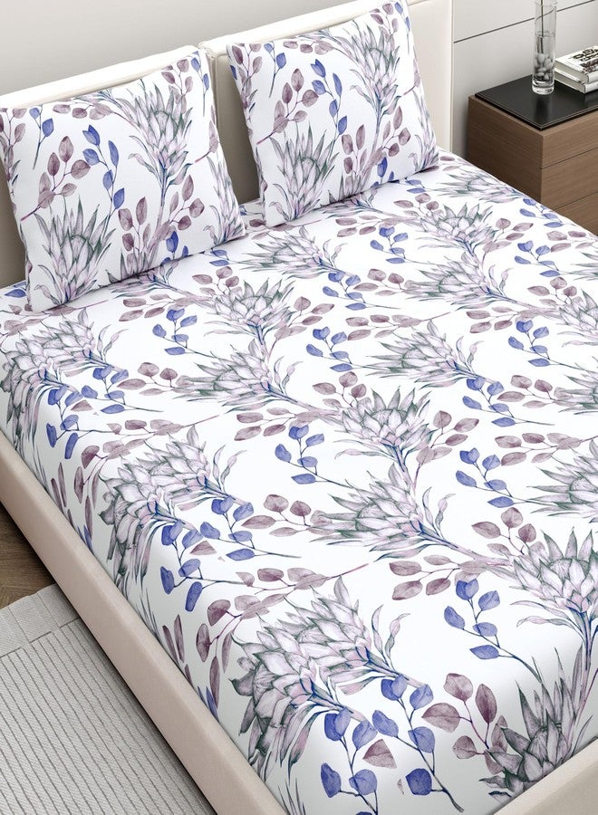 Home Ecstasy 100% Cotton Value King Bedsheet with 2 Pillow Covers - (Size 87 x 108 inches, 140 TC, Colour - Purple: Lapis Purple) - Image 1