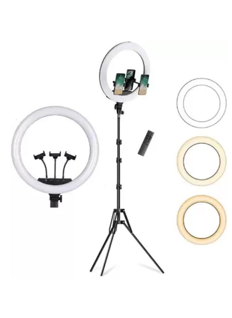 Generic - LED Ring Light with 3 Dimmable Color Modes for Photography, YouTube, Video, Live Streaming, Vlogging, Compatible with iPhone/Android and Cameras (3 Mounts + Remote Control) (35.5cm + Stand) - Image 1