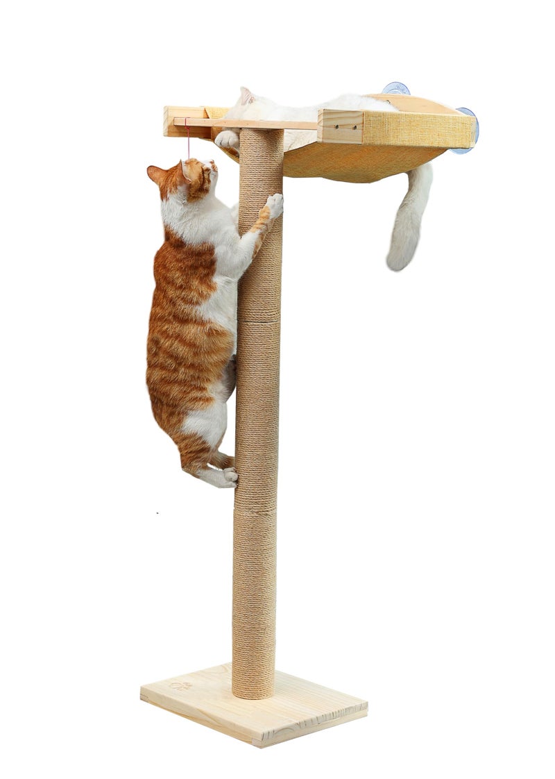 Caloreduce Cat Window Perch with Tall Scratching Posts, Inside 46" Climbing Tree Hammmock Mounted with Suction Cups for Sleeping,Playing and Watching Birds - Image 1