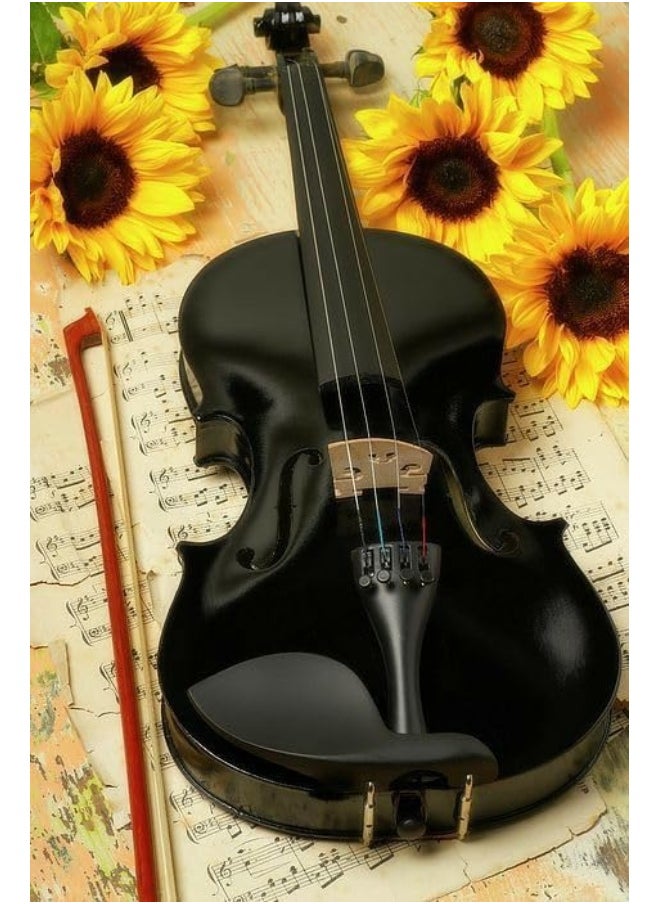 Megarya - MegArya Rich Glossy Black Student Violin Size 4/4 With Case, Bow, Bridge And Rosin Handcrafted Violin - Image 1