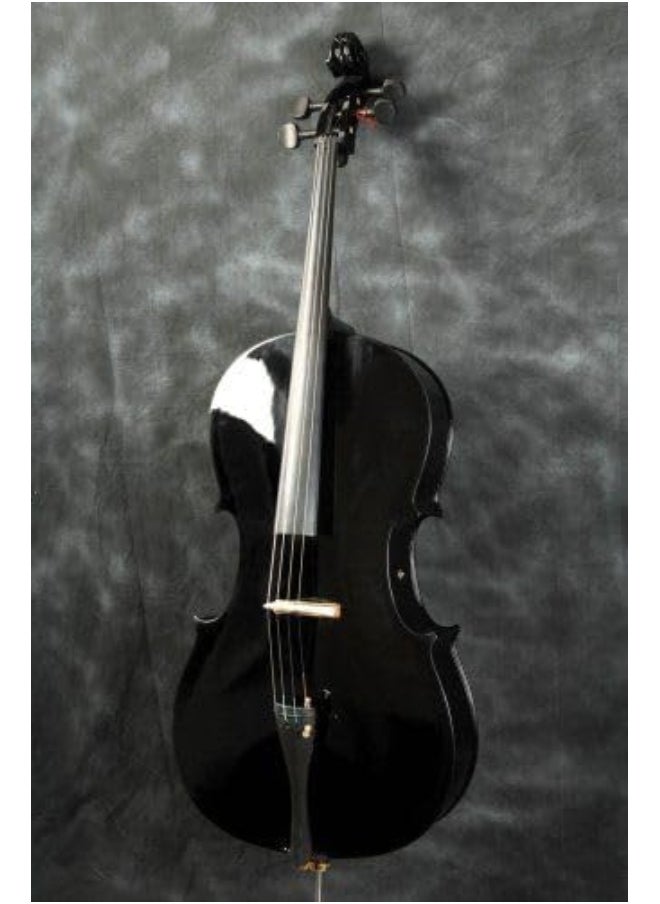 Megarya MegArya Rich Glossy Black Student Violin Size 4/4 With Case, Bow, Bridge And Rosin Handcrafted Violin  - Image 2