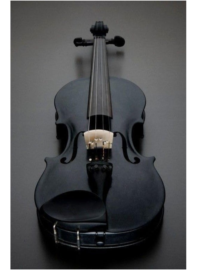 Megarya MegArya Rich Glossy Black Student Violin Size 4/4 With Case, Bow, Bridge And Rosin Handcrafted Violin  - Image 1