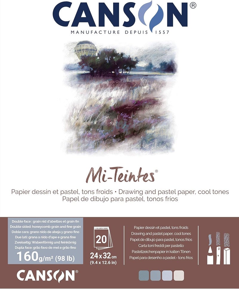 CANSON ورق رسم ملون مي-تينتس 160 جرام 24x32 سم، مزدوج الجوانب: خلية نحل وحبيبات ناعمة، دفتر ملصق من الجانب القصير، 4 درجات باردة، 20 ورقة، للفنانين المحترفين والرسامين - Image 1
