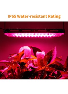 إسكدنيا مصباح إضاءة للنباتات يتكون من 96 مصباح LED أسود 24.20x5.00x0.43سم  - Image 4