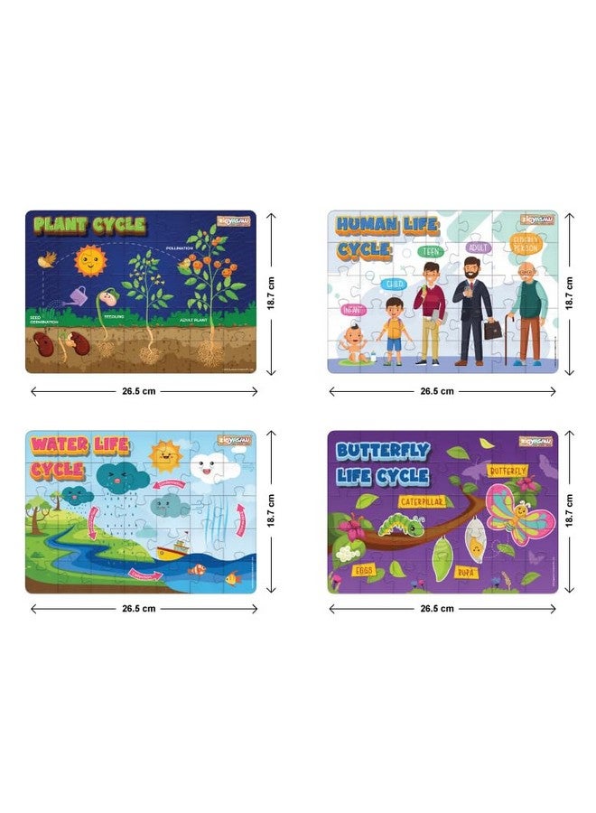 Zigyasaw 4 In 1 Lifecycle Puzzle Combo For Kids - Human, Plant, Water, And Butterfly Lifecycle Educational And Fun Jigsaw Puzzles - 140 Puzzle Pieces (Ages 4 And Up) - Image 2