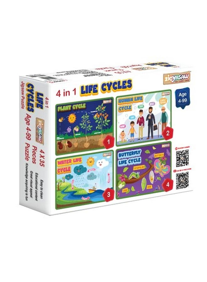 Zigyasaw 4 In 1 Lifecycle Puzzle Combo For Kids - Human, Plant, Water, And Butterfly Lifecycle Educational And Fun Jigsaw Puzzles - 140 Puzzle Pieces (Ages 4 And Up) - Image 1