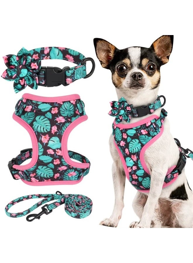 BEIRUI Cute Girl Dog Collars, Harnesses & Leashes Set - Adjustable Dog Collar and Leash Set with Flower - Soft Mesh Dog Vest Harness for Puppies Small & Extra Small Dogs Cats (Green,XXS) - Image 1
