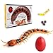 Tsiodot Simulation RC Centipede Remote Control Electric Animal Insect Toy Large Realistic Prank Gift for Kids Christmas Birthday - Image 2