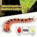 Tsiodot Simulation RC Centipede Remote Control Electric Animal Insect Toy Large Realistic Prank Gift for Kids Christmas Birthday - Image 4